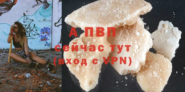 крисы Кулебаки