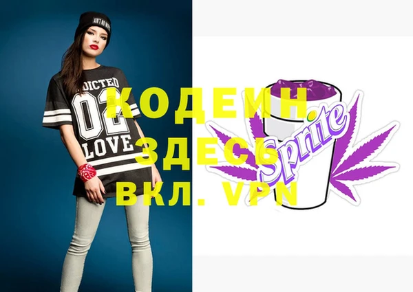 соль ск Ладушкин