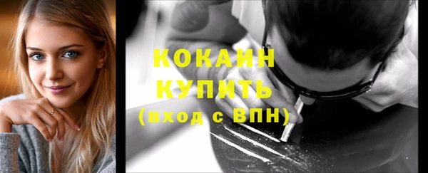 крисы Кулебаки