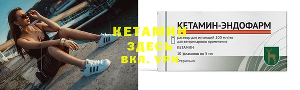 крисы Кулебаки
