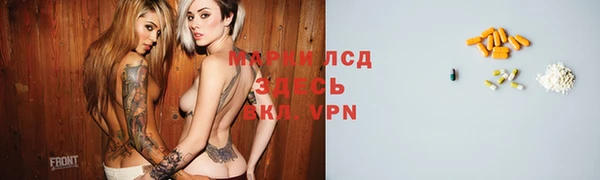 крисы Кулебаки