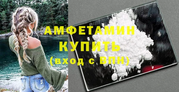 крисы Кулебаки