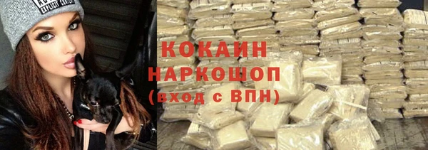 мяу мяу мука Кукмор