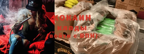 крисы Кулебаки