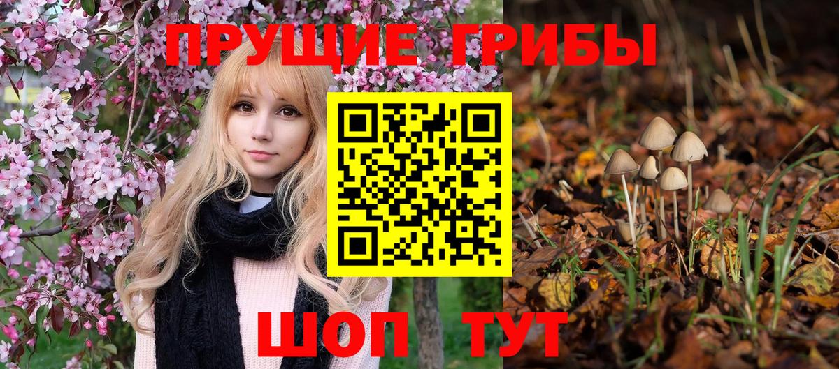Галлюциногенные грибы ЛСД Урай