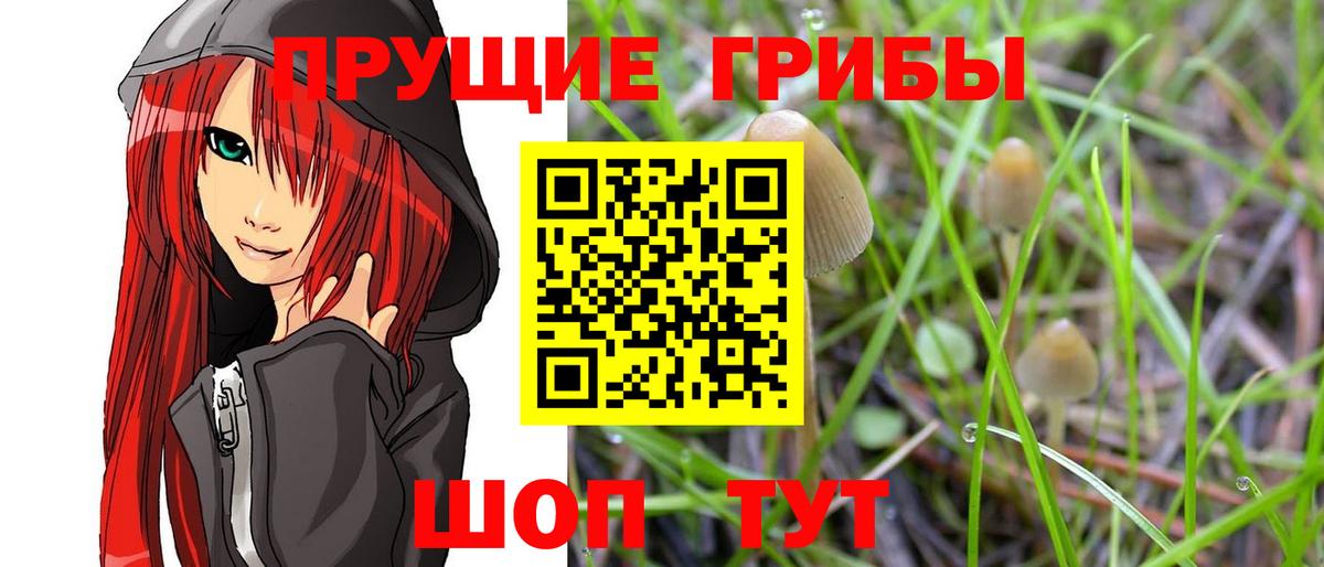 Псилоцибиновые грибы Psilocybe  Галлюциногенные грибы Psilocybine cubensis  Урай  Вход с VPN 